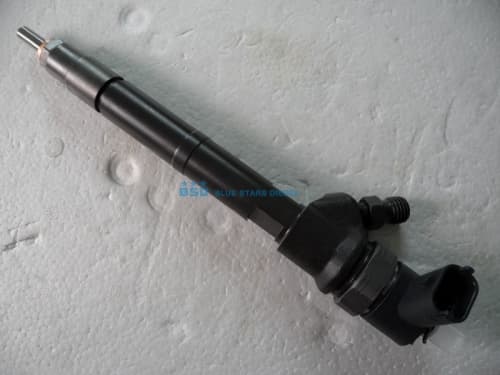 Common Rail Injector 0 445 110 317 Brand New-